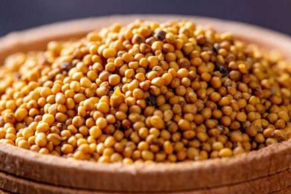 خوش اندامی با یک ماده غذایی سالم