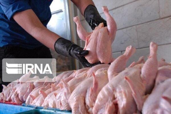 خبرنگاران از کشف 3 هزار و 500 کیلوگرم مرغ احتکار شده تا اجرای طرح صاعقه پایتخت